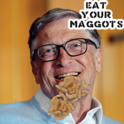 Bill Gates Should Eat Maggots, Not Us