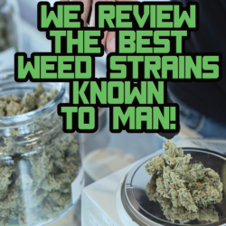 We Review The Best Weed Strains